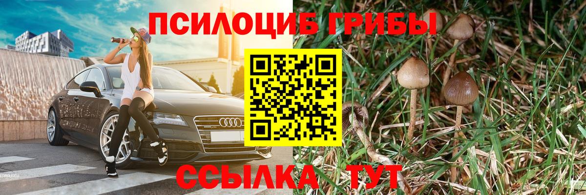 Псилоцибиновые грибы Psilocybine cubensis Ростов Великий