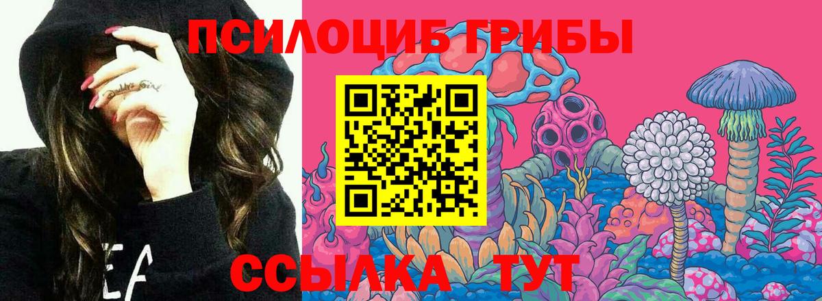 Галлюциногенные грибы прущие грибы  купить наркотики сайты  Ростов Великий  Вход с VPN 